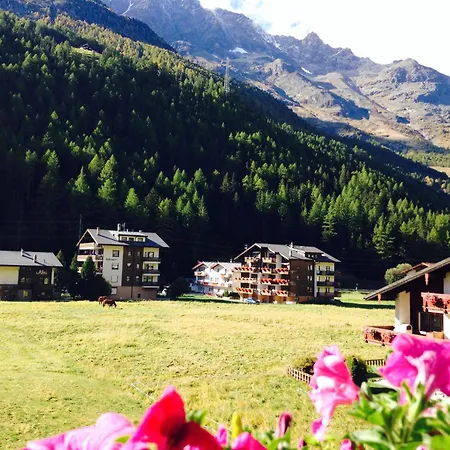 Alcazar アパート *